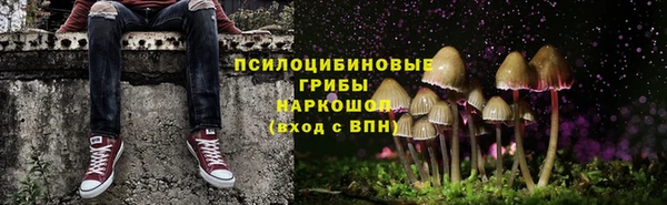 бошки Богородск