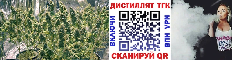ТГК гашишное масло  купить наркотики цена  Елизаветинская 